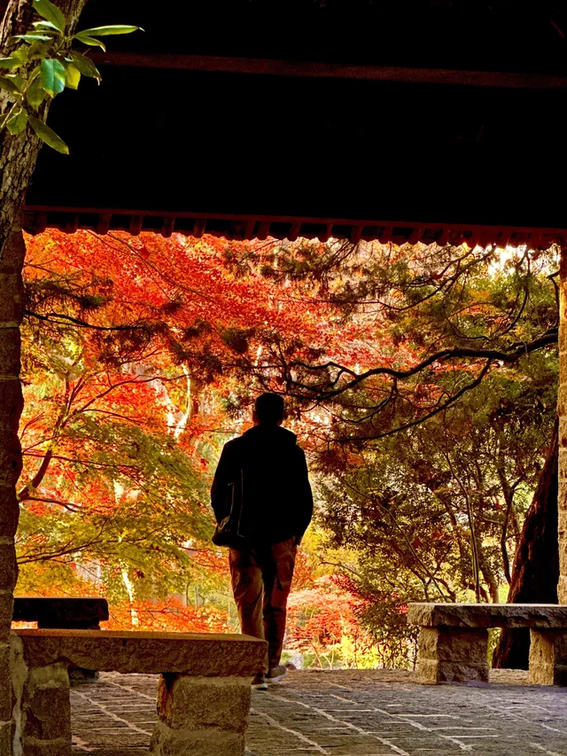 12.5號實拍 | 魯迅公園週末應該會有萬人參觀