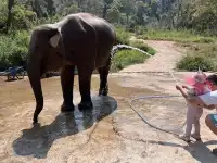 西雙版納+普洱6天5晚旅遊攻略(輕鬆版)