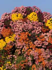 【南寧必打卡|青秀山,藏在城市裡的綠野仙蹤】