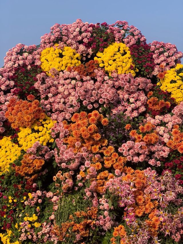 【南寧必打卡|青秀山,藏在城市裡的綠野仙蹤】 【南寧必打卡|青秀山,藏在城市裡的綠野仙蹤】