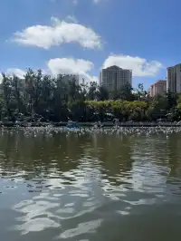 昆明漫遊記day3在翠湖發呆也太舒服了吧!