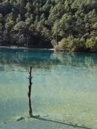 麗江旅遊|詳細打卡攻略|2D3N