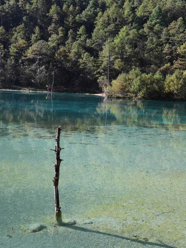 麗江旅遊|詳細打卡攻略|2D3N 麗江旅遊|詳細打卡攻略|2D3N