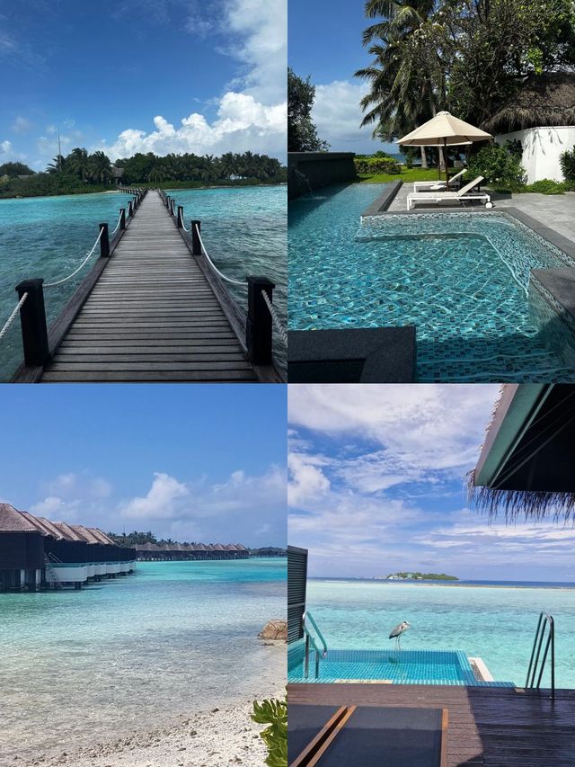 滿月島酒店|撿到寶藏般的快樂度假 : 馬爾代夫滿月島度假村 Furanafushi 滿月島酒店|撿到寶藏般的快樂度假 : 馬爾代夫滿月島度假村 Furanafushi