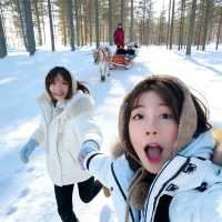 5日呼倫貝爾深度遊攻略全在這了