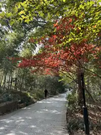 12.4西溪谷漫遊道5km徒步|路線+出片點+tips