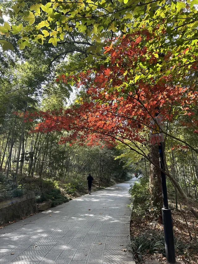 12.4西溪谷漫遊道5km徒步|路線+出片點+tips 12.4西溪谷漫遊道5km徒步|路線+出片點+tips