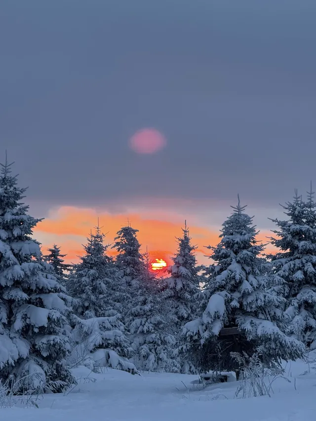 長白山雪嶺聖誕樹林裡的夢幻日落(附攻略) 長白山雪嶺聖誕樹林裡的夢幻日落(附攻略)