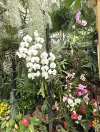 上海植物園一日遊