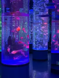 沉浸式墜入深海星穹，治癒與出片雙滿分～