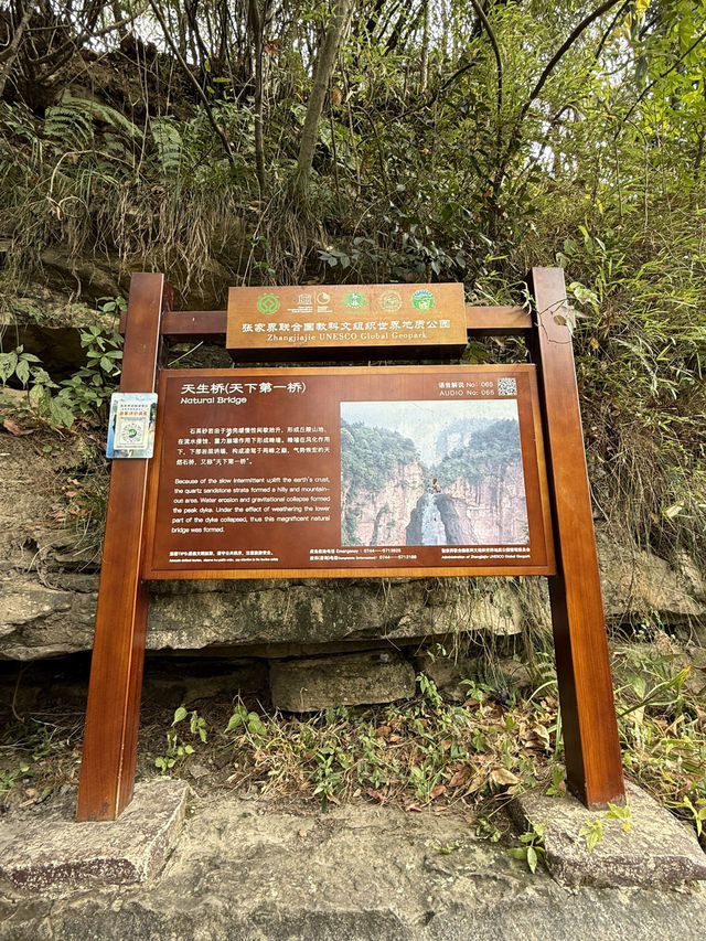 張家界 / 天下第一橋 張家界 / 天下第一橋