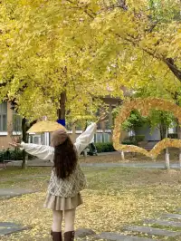 12.7實況!!福州這裡有超美銀杏打卡點!!