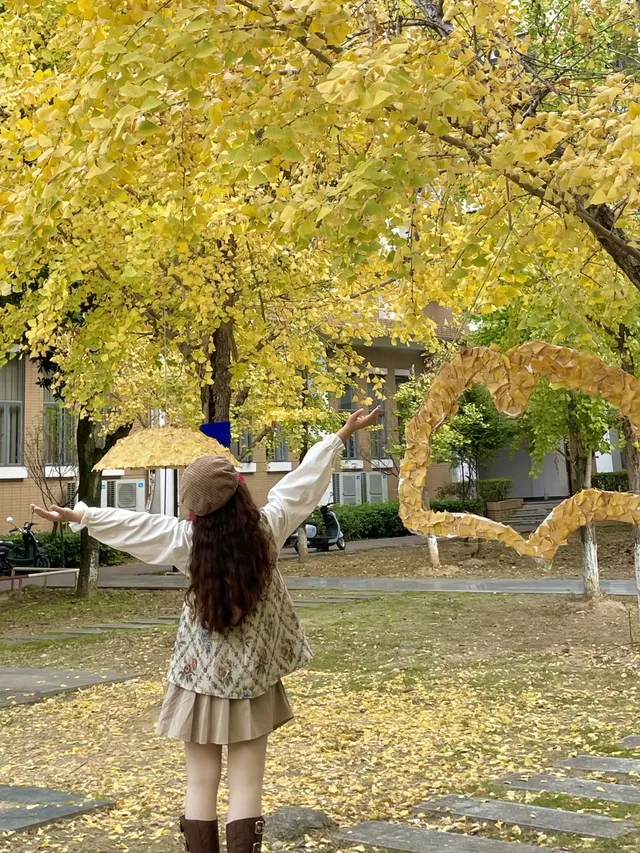 12.7實況!!福州這裡有超美銀杏打卡點!! 12.7實況!!福州這裡有超美銀杏打卡點!!