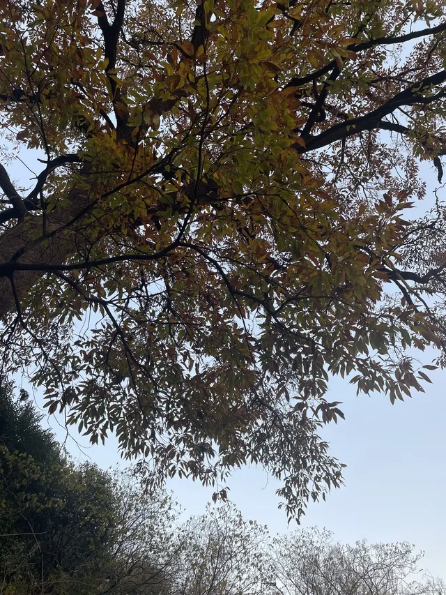 南京浦口隆興寺 | 人少幽靜的古寺 南京浦口隆興寺 | 人少幽靜的古寺