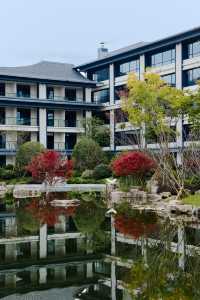 神仙居最讓我著迷的居然是這家酒店的早餐