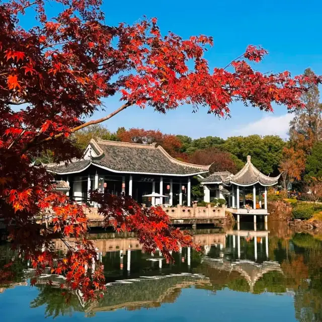 Wuxi Meiyuan Park: A Fragrant Snow Sea Feast in the Ancestral Garden of the Rong Family
