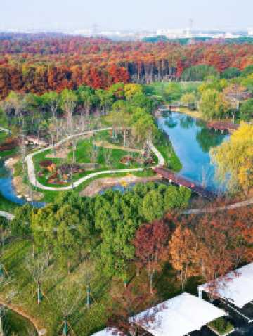 上海新的橫沔公園,開園3天遊客量破萬