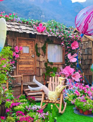 ชู่ว! อย่าพูด ปล่อยให้ทะเลดอกไม้ในเป่าฉวนแห่งนี้เยียวยาคุณ