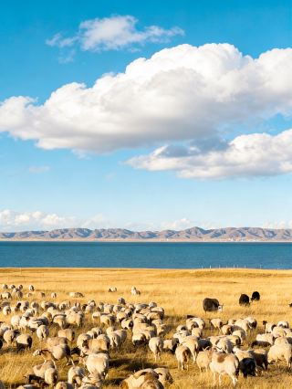 セリム湖が最高峰だと思っていたが、青海に来てその考えが変わった