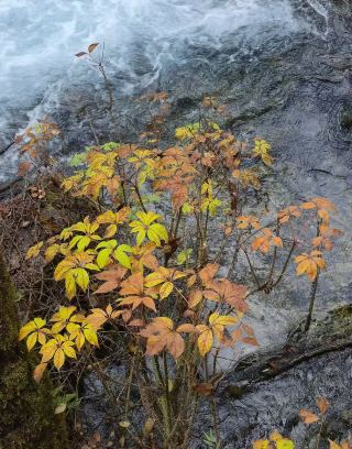 การเดินทางที่เบาและงดงาม | เริ่มต้นการพบปะกับภูเขา แม่น้ำ และฤดูกาลทั้งสี่