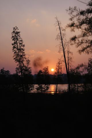 雲南省普洱市のコーヒー農園で夕日を眺める。雲南省普洱市はプーアル茶で有名だが、お茶だけでなく、豊かなコーヒーの香りも魅力の一つだ。