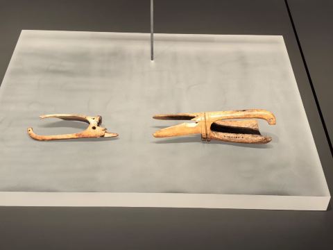 A must-see in Sanmenxia! A stunning free museum showcasing the