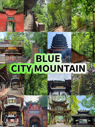青城山8月の落とし穴回避ガイド|これらを踏むと泣くことになります