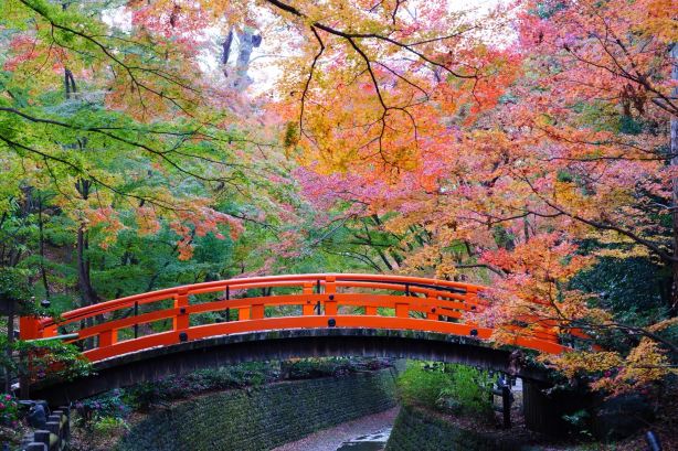 Autumn winds in Kyoto | Why you must visit Kyoto in late autumn at least once in your life