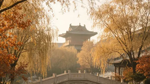 Dezhou Autumn 2-Day 1-Night Trip | A Relaxed Guide to the Ancient Canal City — traveler post in Xiajin
