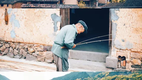 Tired of fast-paced travel? Try Songyang! A slow-paced trip to ancient villages, old streets, and tea plantations — traveler post in Songyang