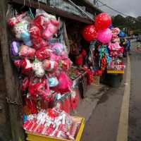 Agrarian Delights of Cameron Highlands Market