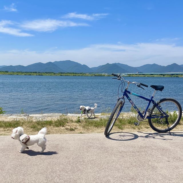 부산 삼락공원 자전거여행 추천♥