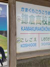 日本鐮倉旅行 #藍兒當入樽場境 🏀