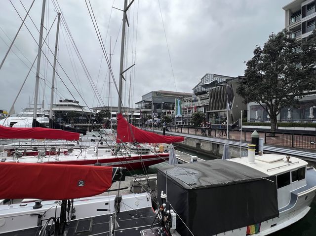 奧克蘭餐廳排名Oyster and Chop，就在港口旁邊，可以邊吃海鮮邊看風景唷