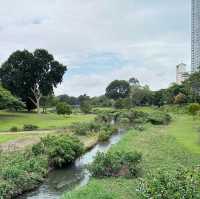 Beautiful Bishan Park