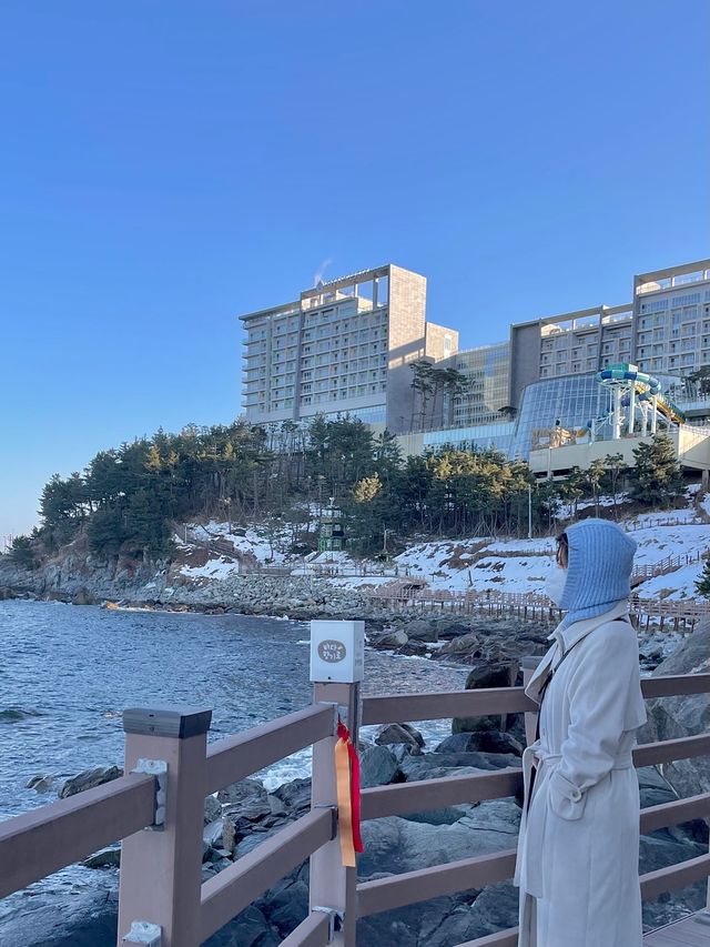 속초에서 가볼만한 여행지 🌿