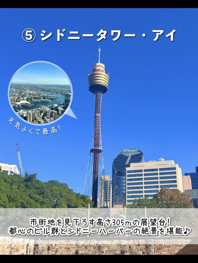 絶対にハズさないシドニー観光スポット7選🇦🇺