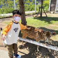 【 近距離親親小動物。神戶動物王國 】