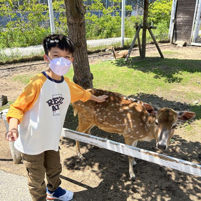 【 近距離親親小動物。神戶動物王國 】