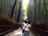 สวนป่าไผ่ &สะพานแม่น้ำสุขใจ @ARASHIYAMA