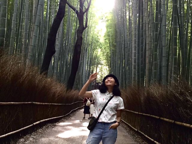 สวนป่าไผ่ &สะพานแม่น้ำสุขใจ @ARASHIYAMA
