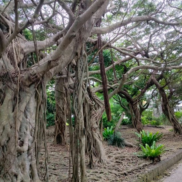 精巧な石造りが圧巻の世界遺産 玉陵