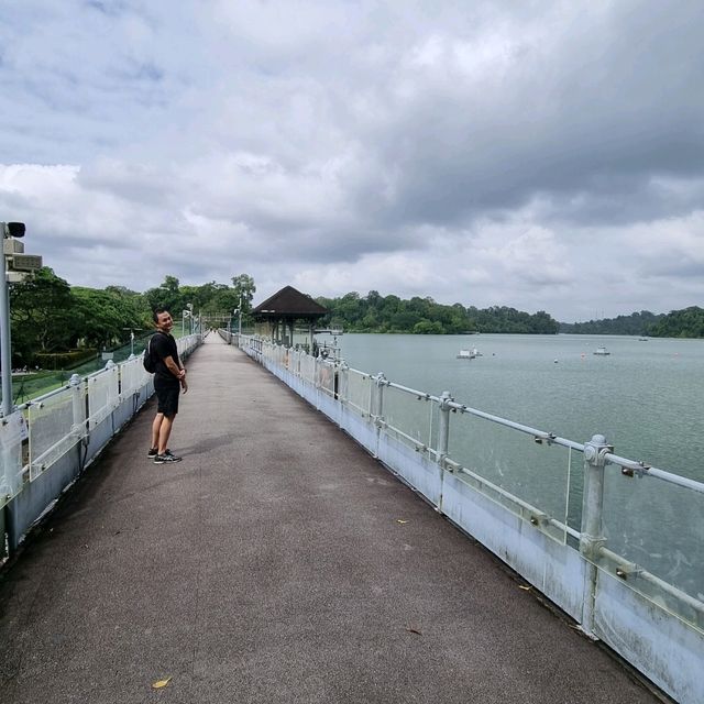 Macritchie Reservoir Like Never Before