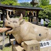  【京都】花の御寺「三室戸寺」