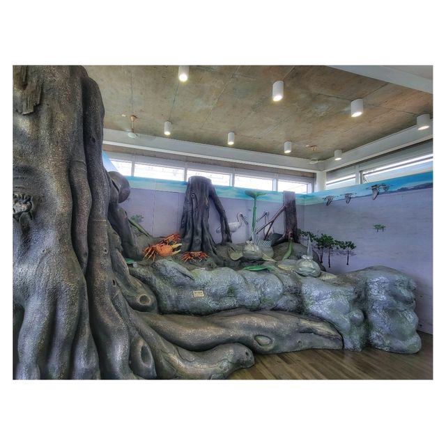香港濕地公園 Hong Kong Wetland Park
