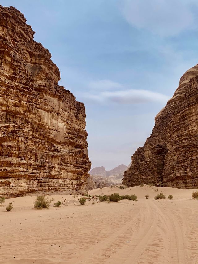 😍 Adventure‼️ Seven Pillars of Wisdom - Jordan 🇯🇴 