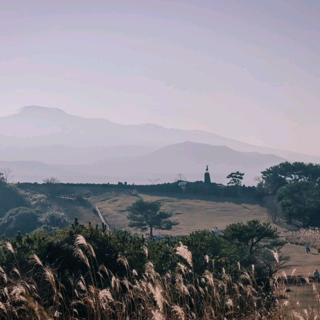 제주의 자연을 느끼려면? 산굼부리 ⛰️ 