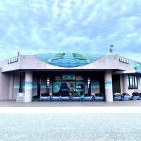 沖繩海洋博公園-十多個景點玩足全日