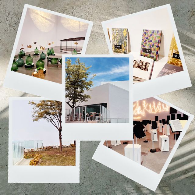 🎨白色的藝術奇蹟🎨🏛️內惟藝術中心✨ 