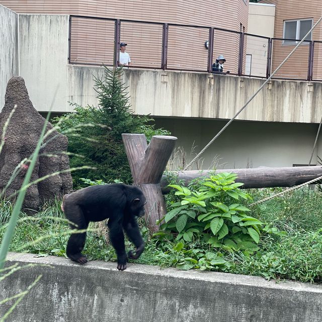 円山動物園